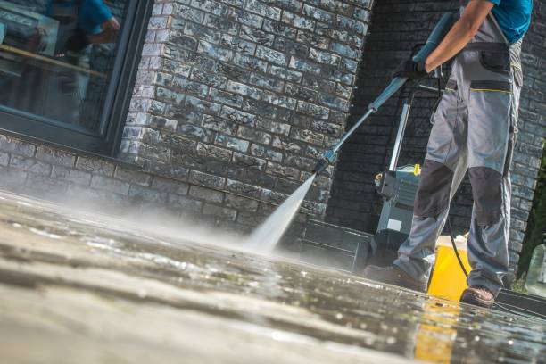 Best Roof Cleaning and Mildew Removal in Central City, IL